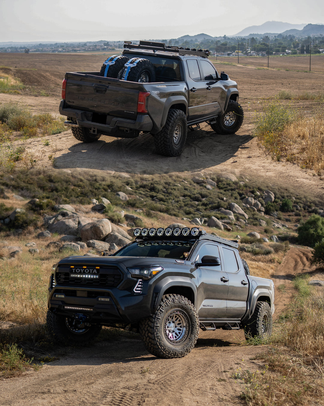 Toyota Tacoma - Digital Poster